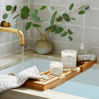 Eucalyptus Classic Candle