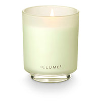 Borealis Moss Boxed Glass Candle