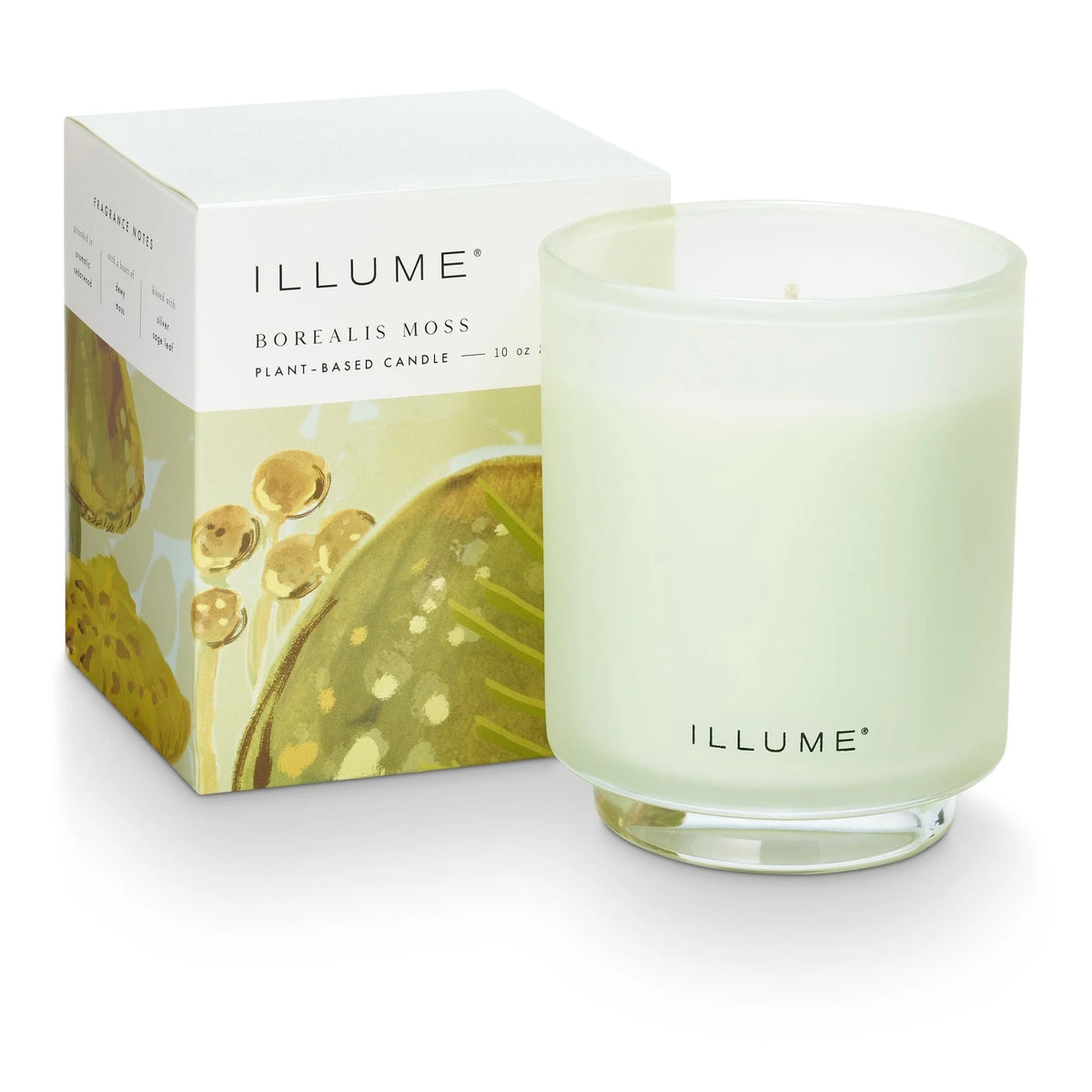 Borealis Moss Boxed Glass Candle