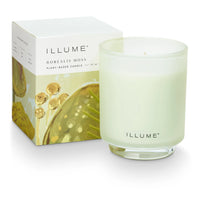 Borealis Moss Boxed Glass Candle