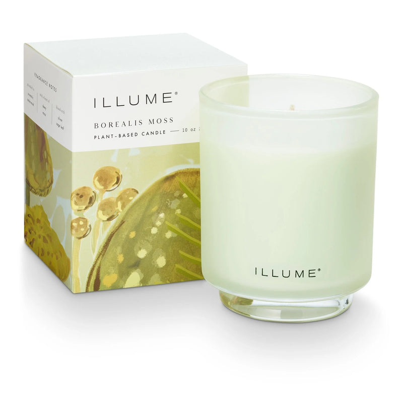 Borealis Moss Boxed Glass Candle