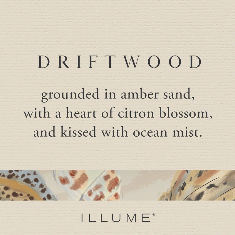 Driftwood Demi Vanity Tin Candle