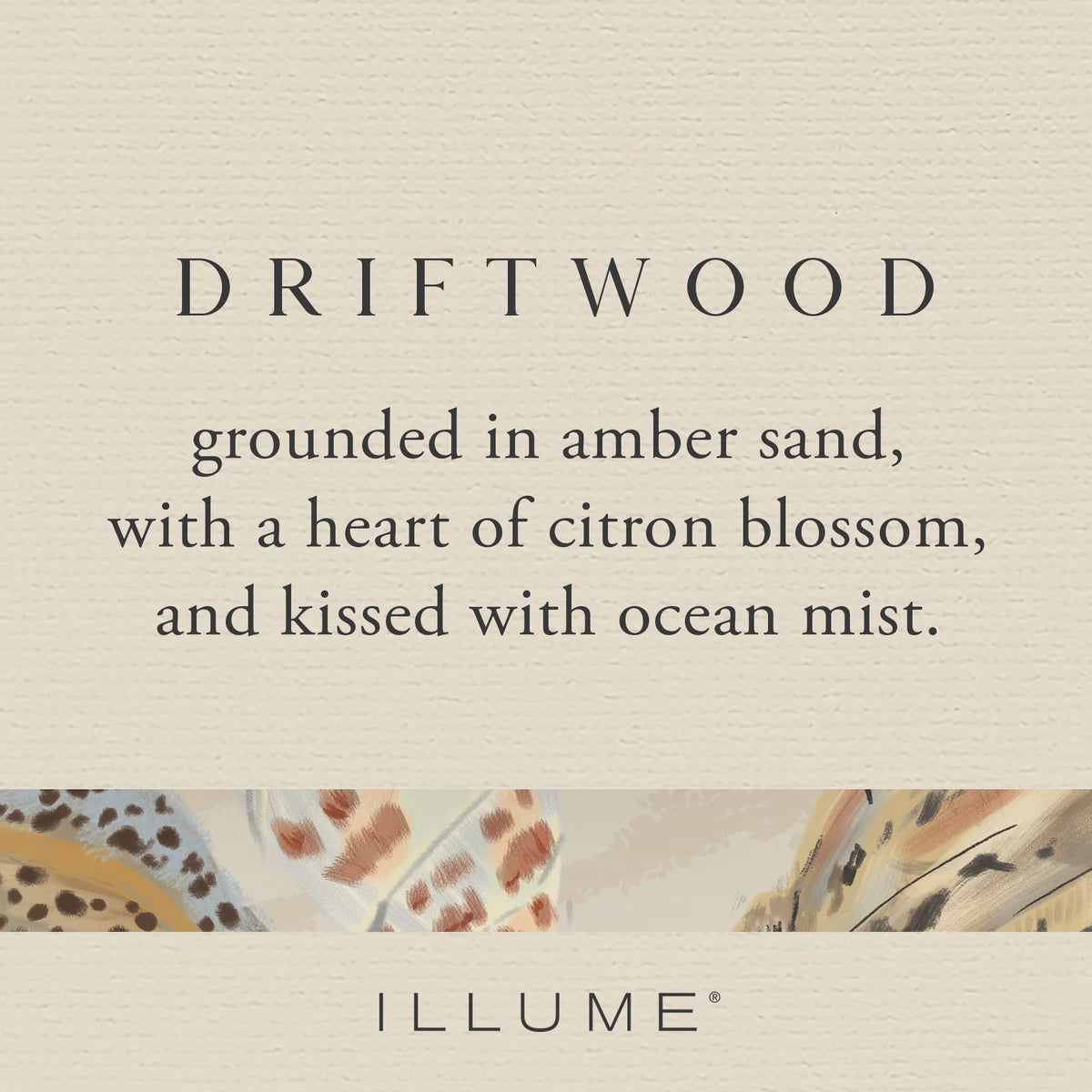 Driftwood Vanity Tin Candle