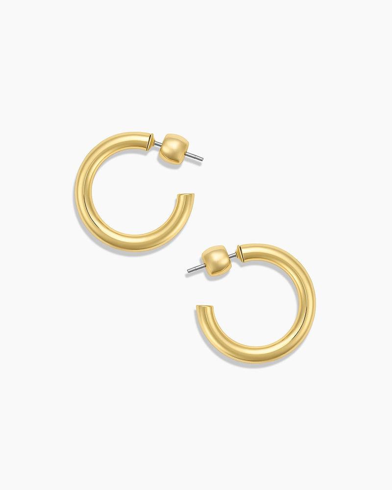 Carter Small Hoops Earrings