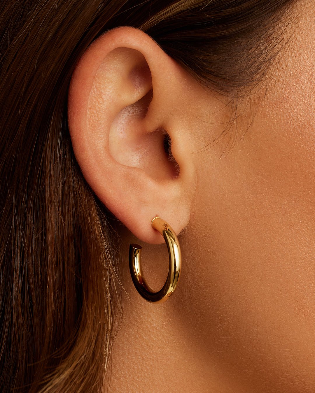 Carter Small Hoops Earrings