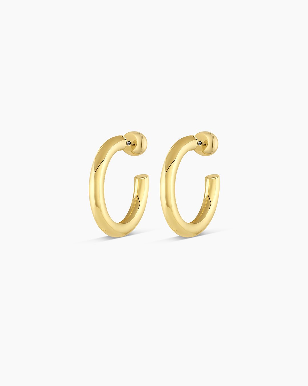 Carter Small Hoops Earrings