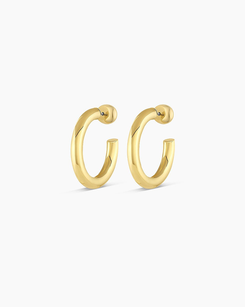 Carter Small Hoops Earrings