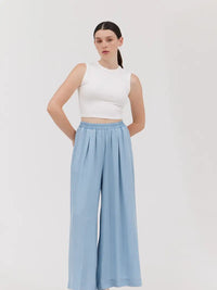 Chambray Pants