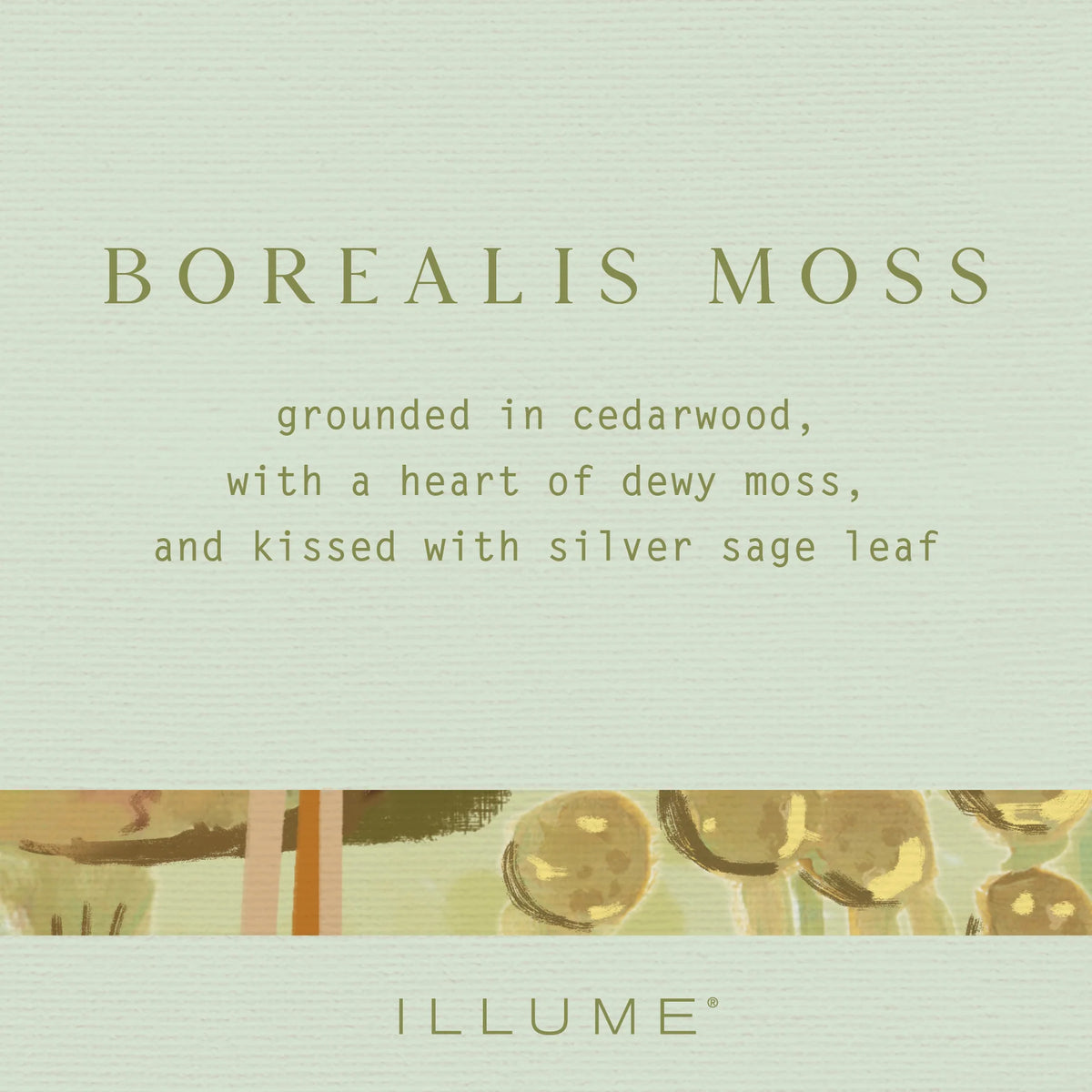 Borealis Moss Demi Vanity Tin Candle