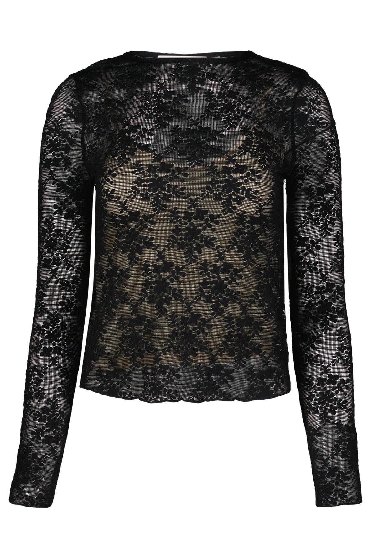 Dani Lace Top