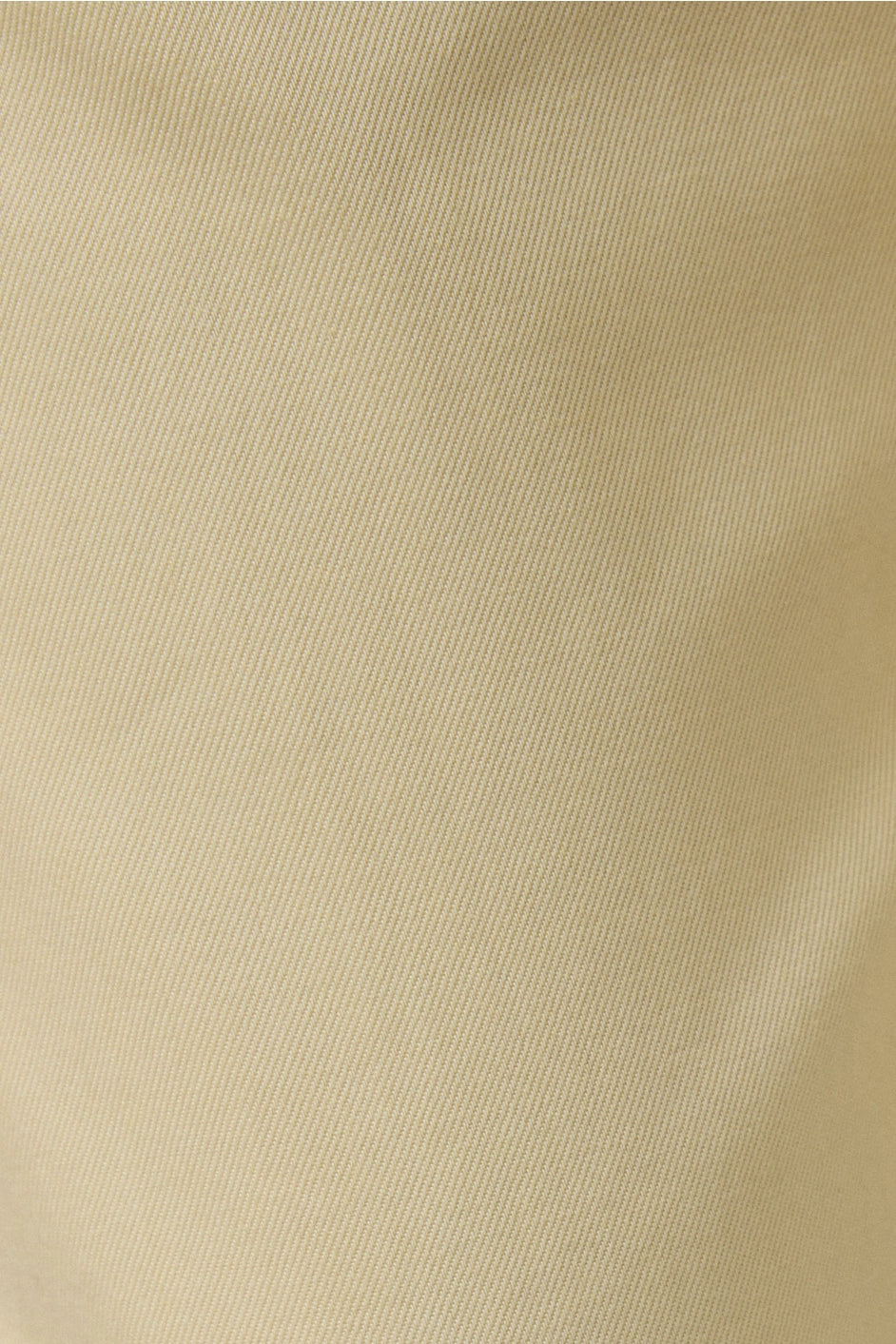 Low Rise Pleated Pants