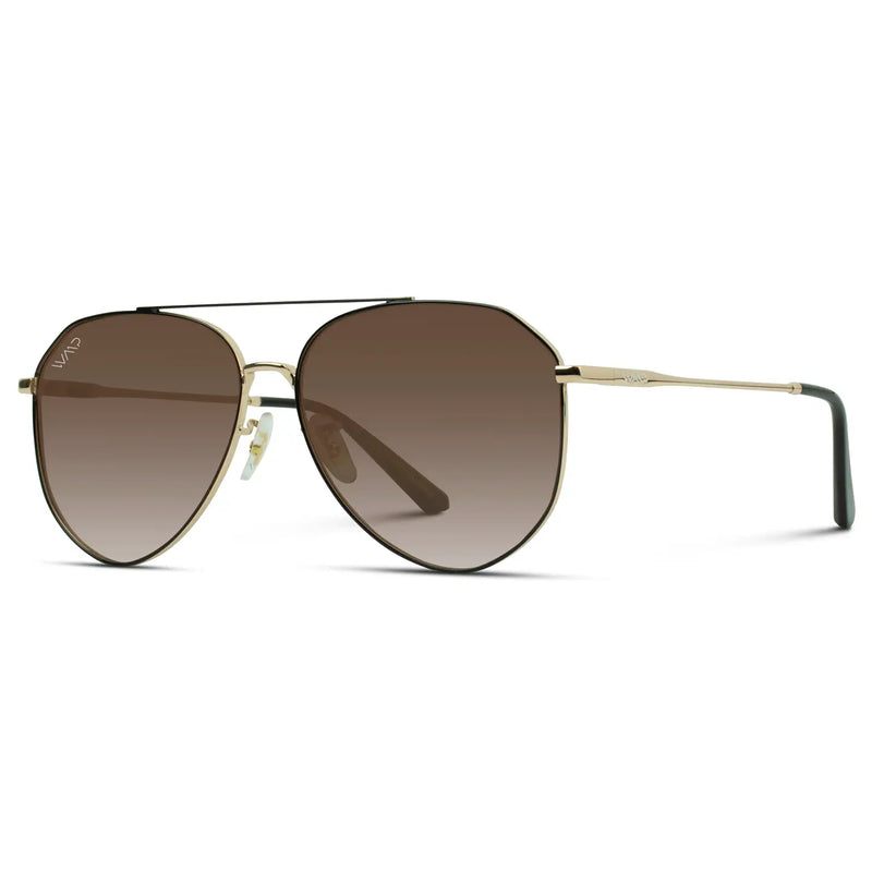 Ramsey Polarized Black & Brown Sunglasses