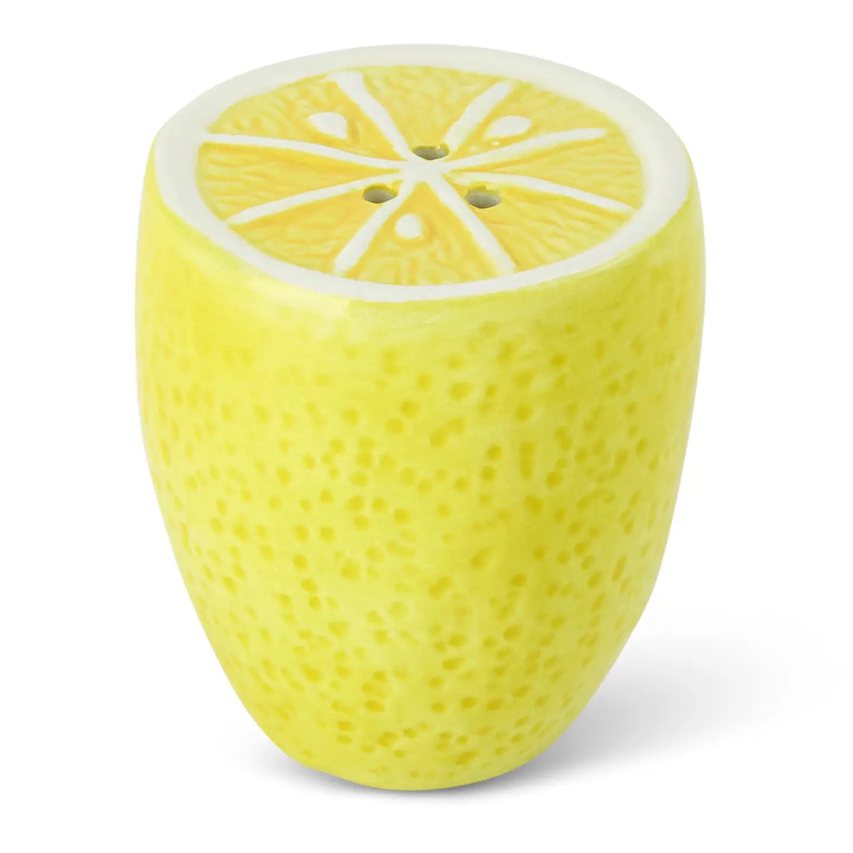 Summer Lemons S&P Shaker Set