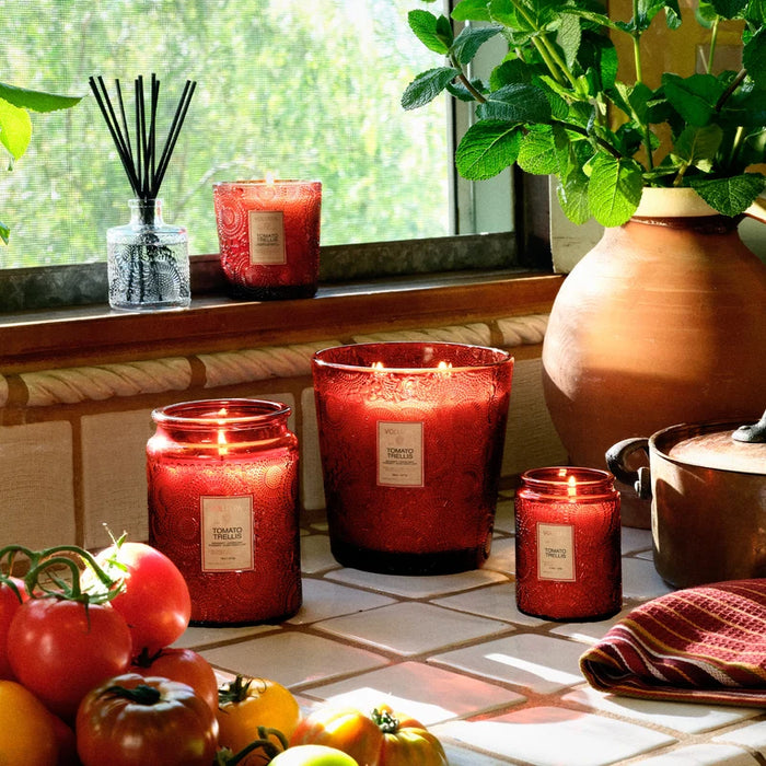 Tomato Trellis Mini TIn