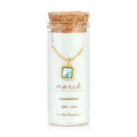 Birthstone Bottle Necklace