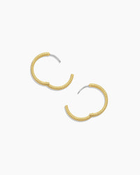 Catalina Hoop Earring