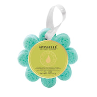 Wildflower Sponge