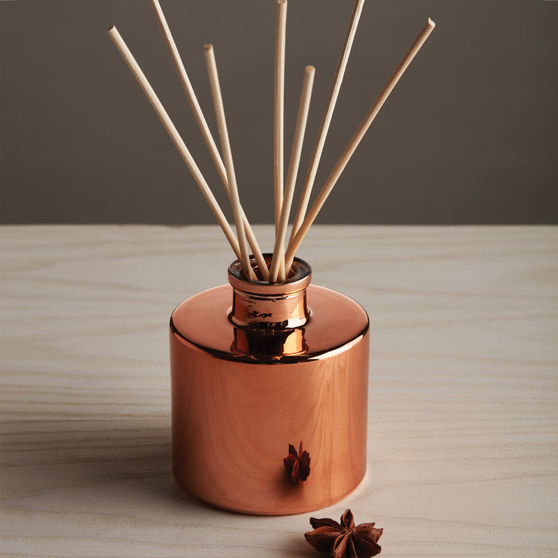 Simmered Cider Holiday Peitite Diffuser